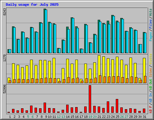 Daily usage for July 2025