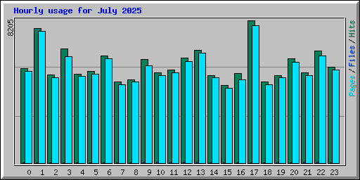 Hourly usage for July 2025